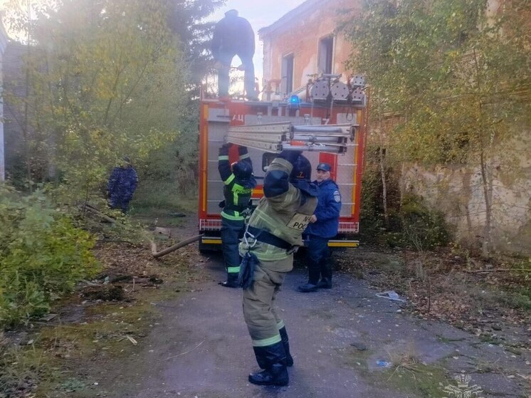 В Старой Руссе пожарные потушили нежилое здание