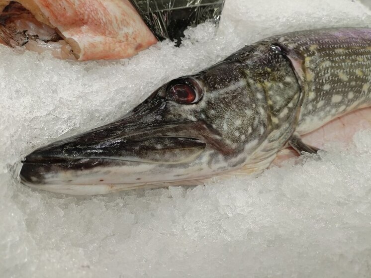 Мурманская область отправила почти 90 тыс тонн морепродуктов в 8 стран мира