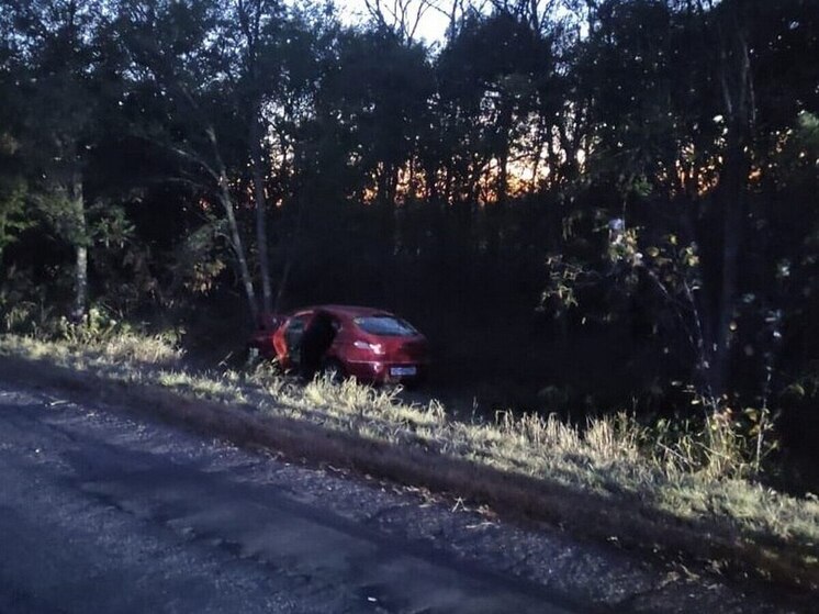 На автодороге «Воронеж – Луганск» автоледи врезалась на скорости в дерево