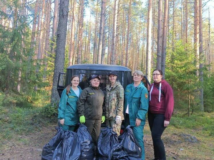 Вологжане собрали более 120 кубометров мусора в лесах региона