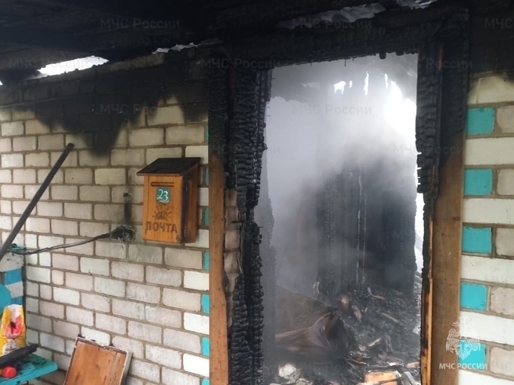 В Орловской области на пожаре погиб 78-летний дедушка