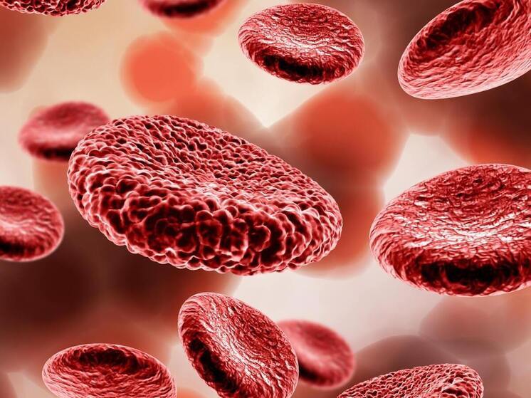 Ученые: есть группа крови, которая защищает от рака