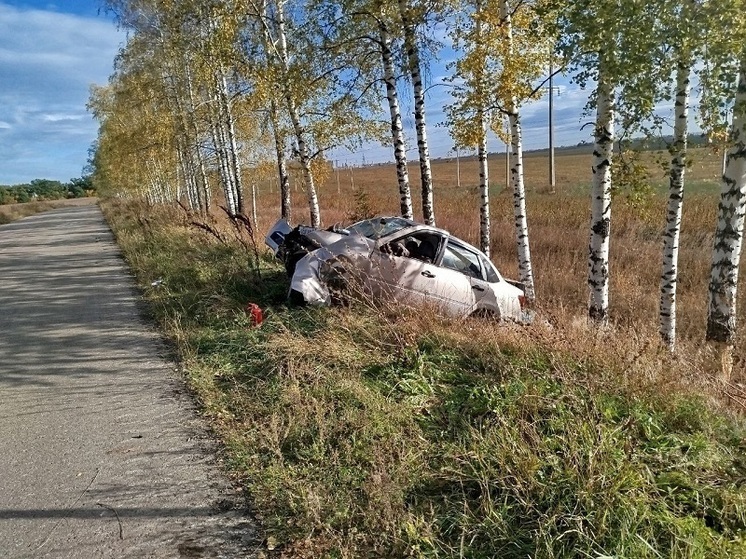 Смертельный удар о дерево: пассажир «Лады» погиб в ДТП в Муроме