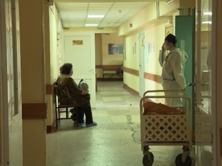 Более четырёх тысяч женщин Тамбовщины воспользовались родовыми сертификатами