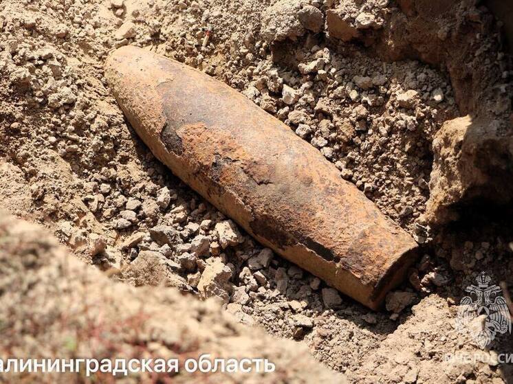 Калининградские спасатели обезвредили находки времен ВОВ
