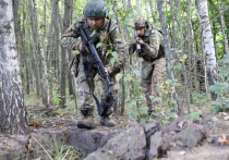 Исполнилось пять месяцев с того момента, как Курское направление стало называться Сумским