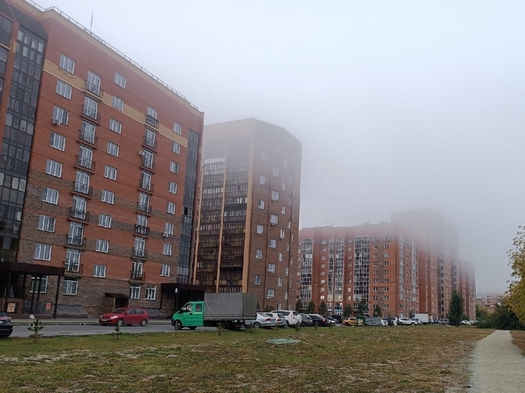 Управляющим компаниям дали сутки на отладку отопления в домах Новосибирска