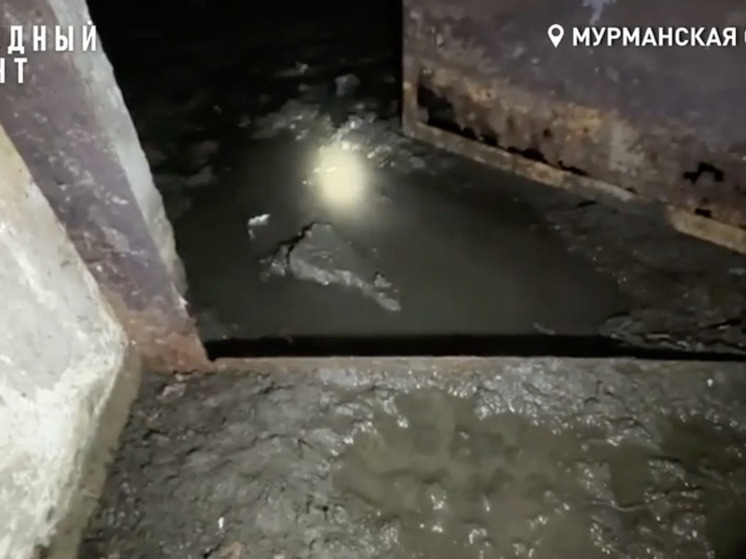 В Мурманске жители двухэтажки за 10 лет устали бороться с затопленным подвалом