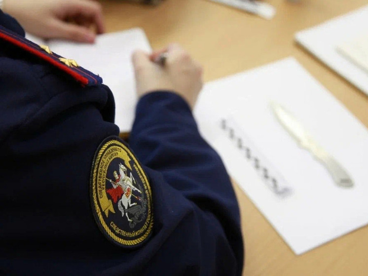 В Прионежье вспышка инфекции среди школьников: Следственный комитет Карелии возбудил уголовное дело