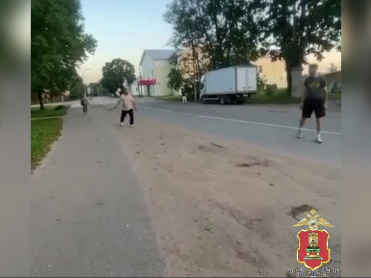 В Тверской области пьяный мужчина взял нож и пошел разбираться с подростками