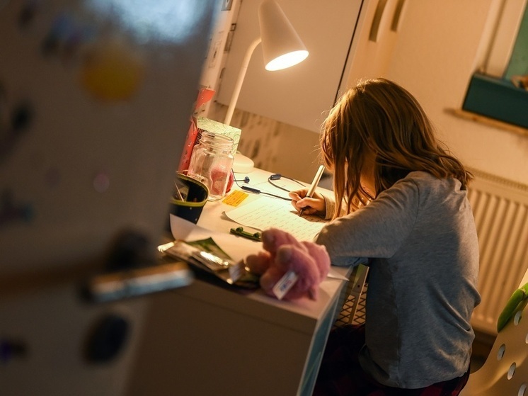 Эксперт Кирьянов: органайзеры и планеры повышают продуктивность школьников