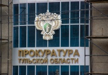В Арбитражном суде Тульской области вот уже много месяцев идут три судебных процесса, - между прокуратурой региона, администрацией Донского и компанией ООО «Ландшафтные решения»