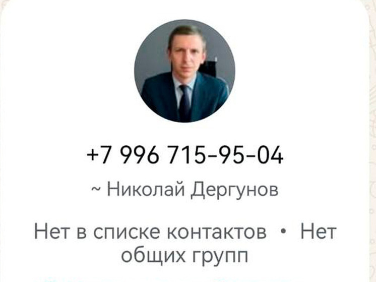 Мошенники подделали аккаунт министра строительства Липецкой области