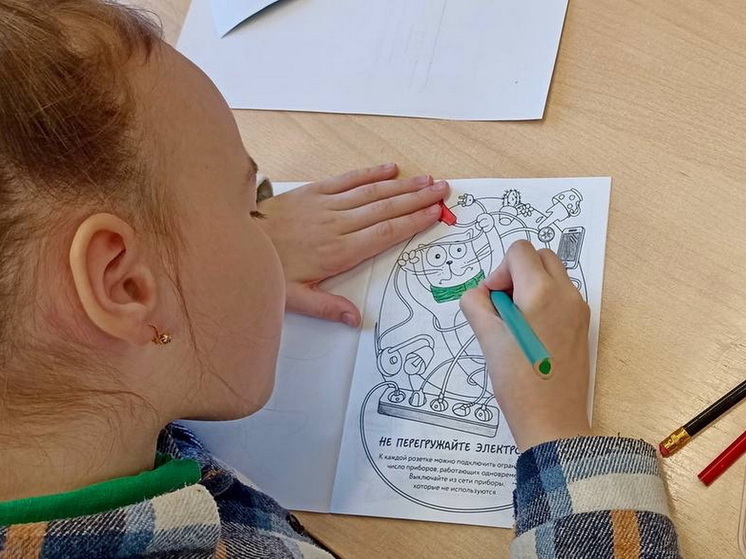 Уроки энергосбережения и энергобезопасности: «ТНС энерго Марий Эл» в школах республики