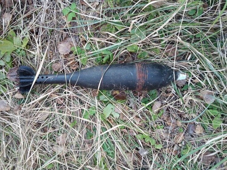 В поселке Толмачево нашли минометную мину