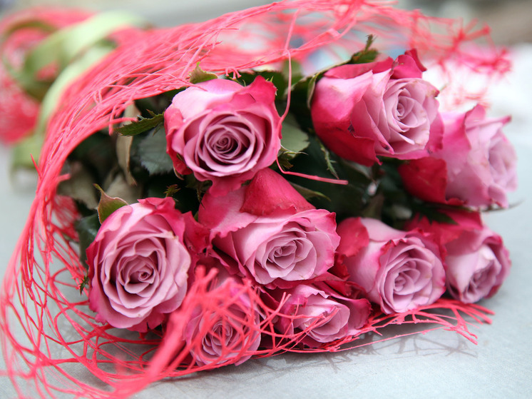 С Днём учителя: каким будет новый учебный год