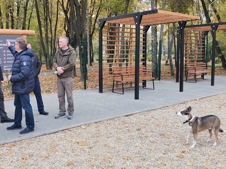 В парке Гагарина в Рязани открыли площадку для выгула и дрессировки собак