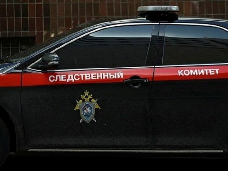 После похищения девушки в Воронеже СК начал проверку