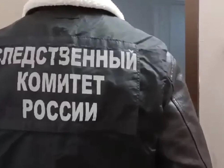 Жена новосибирского фермера обвинила силовиков в доведении мужа до самоубийства
