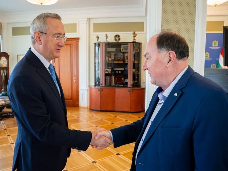 Владислав Шапша выразил признательность калужскому омбудсмену