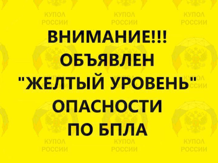 На Севере Ростовской области 3 октября объявлен желтый уровень опасности по БПЛА