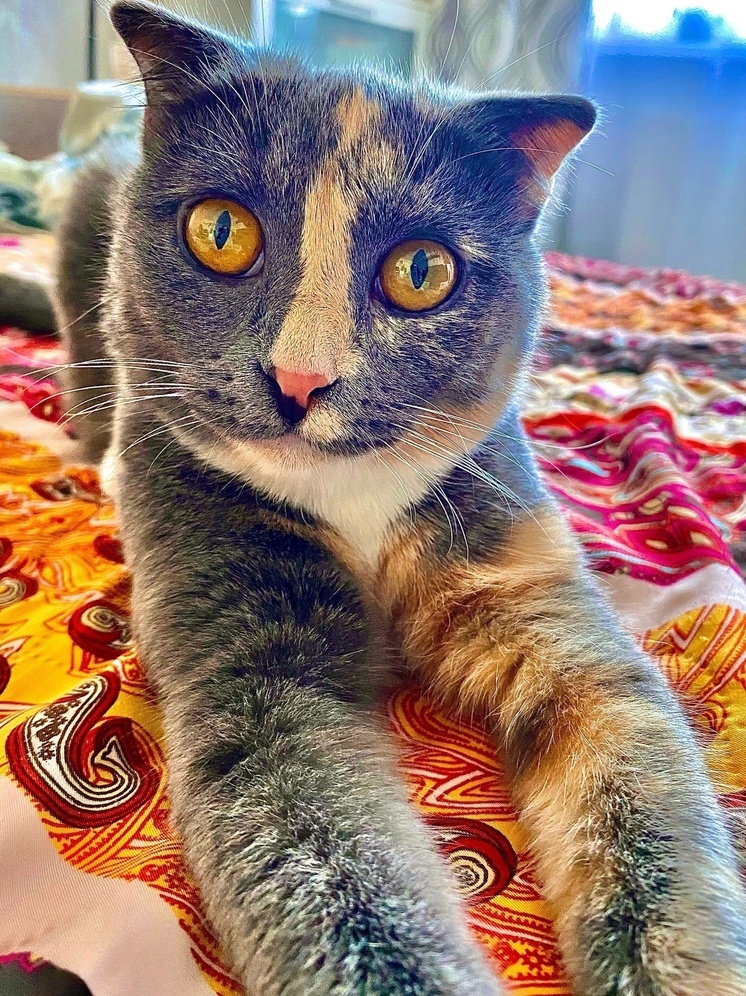 Калужане поздравляют своих питомцев с Днём защиты животных