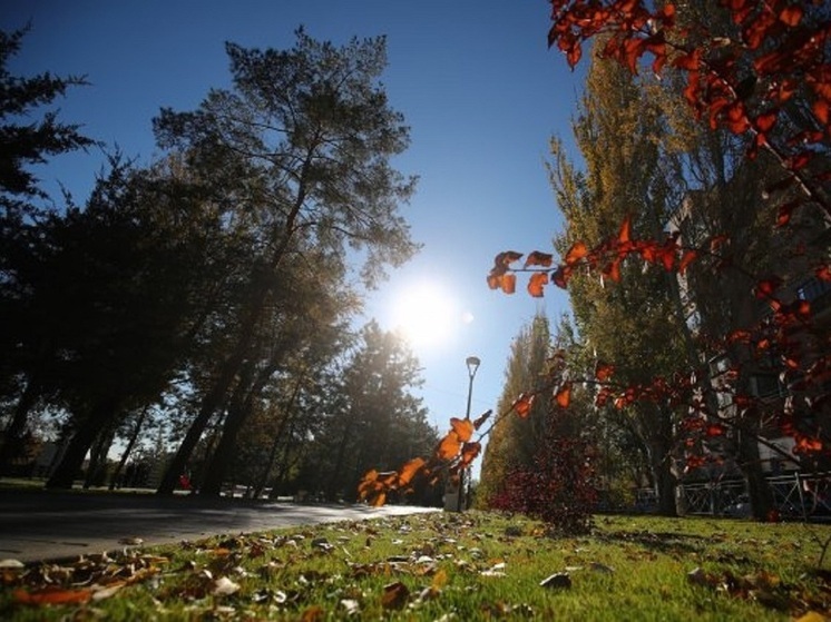 Штормовой ветер и потепление до +24 градусов ожидаются в Волгоградской области