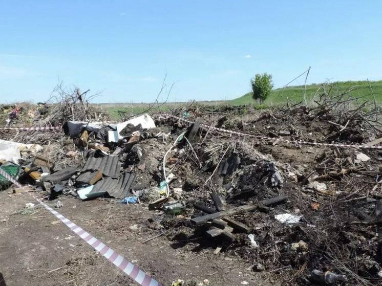 Бастрыкин поставил на контроль расследование дела о свалке в Воронежской области