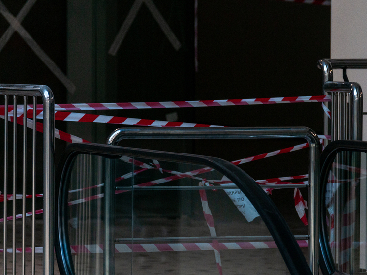 Louis Vuitton подал заявки на регистрацию новых товарных знаков в России