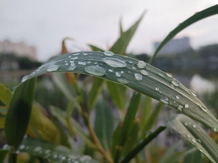 Холод и дождь со снегом посетят Хакасию
