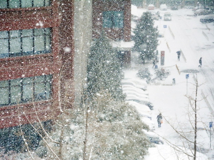 Синоптик пообещал москвичам морозную зиму