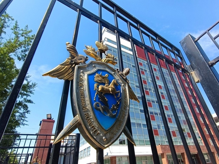 Бастрыкин затребовал доклад по делу о нападении мигранта на жителя Екатеринбурга