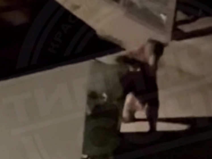 В Сочи медведь угнал мусорный бак с контейнерной площадки