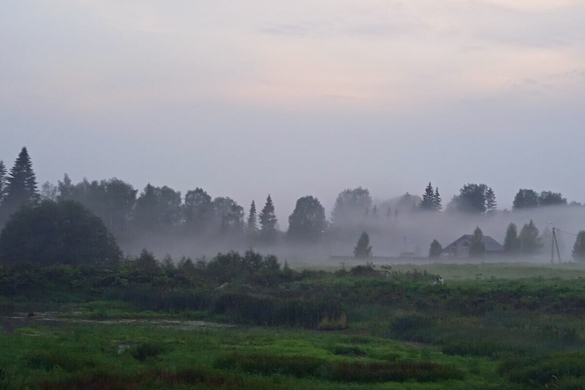 В деле о пропавшей в Красноярском крае семье Усольцевых появилась важная деталь