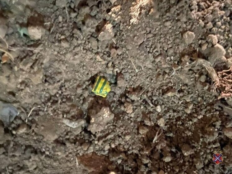 В Волгограде задержали молодого человека, подозреваемого в сбыте наркотиков