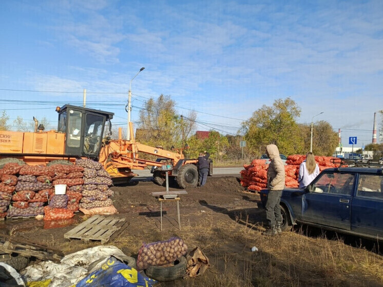 Тонну брошенных овощей и весы обнаружили на окружной дороге в Омске