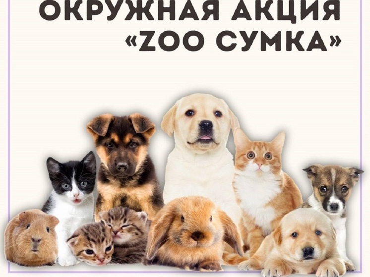 «Zoo-сумку» для приютских животных соберут жители Ямала