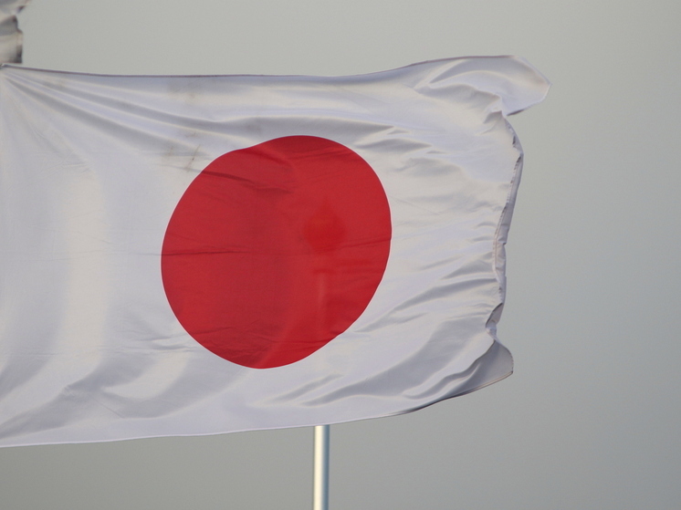 Японской правящей партии не удалось выбрать руководителя в первом туре