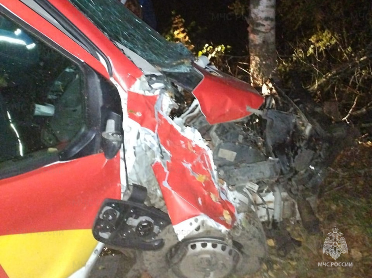 Спасатели достали из смятого автомобиля пострадавшего в ДТП в брянском селе Воробейня