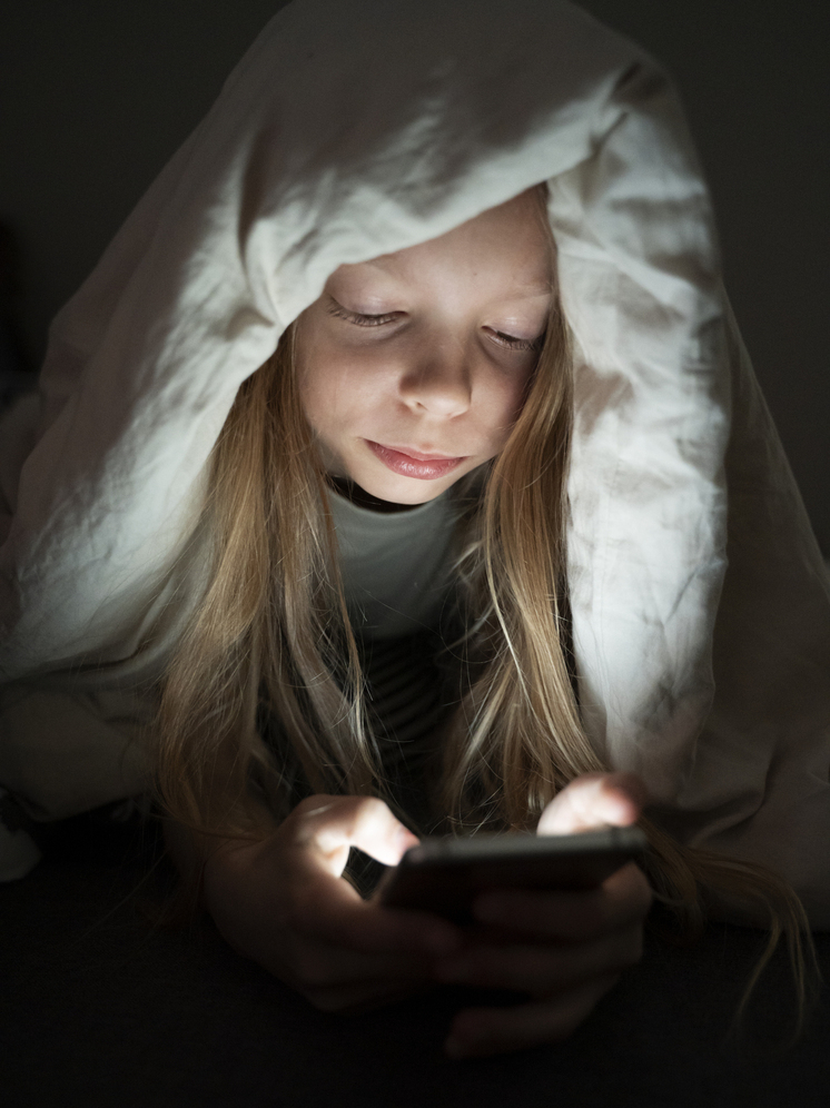 В Норильске 13-летняя школьница перевела мошенникам 19,7 млн рублей семейных сбережений