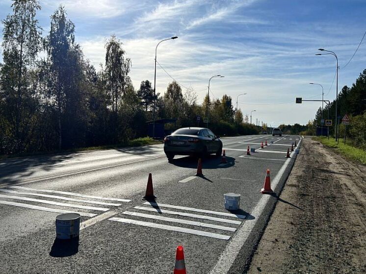 В Кировской области активно внедряют шумовые полосы для снижения аварийности