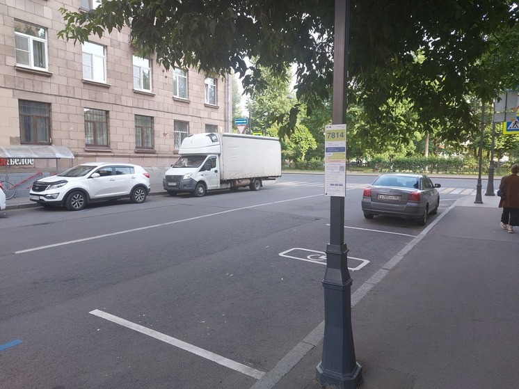 В Петербурге задержали участника драки из-за спора о федеральном законе