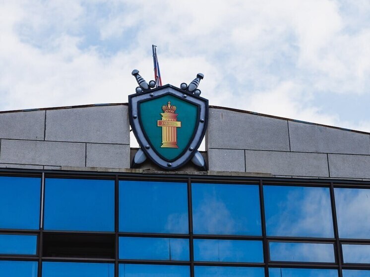 Чебаркульская пенсионерка выплатит штраф за оскорбление соседки