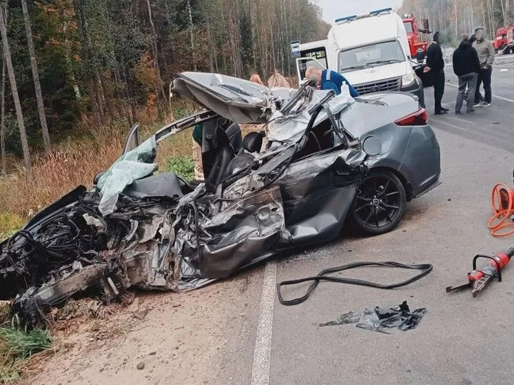 Страшная авария на трассе под Гусь-Хрустальным унесла жизни пяти человек