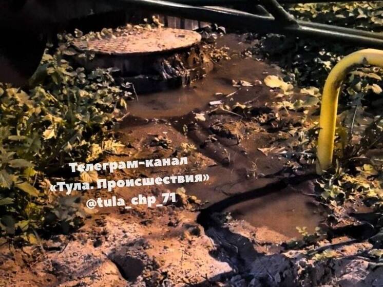 Канализационные стоки на детской площадке обсуждают туляки в соцсетях