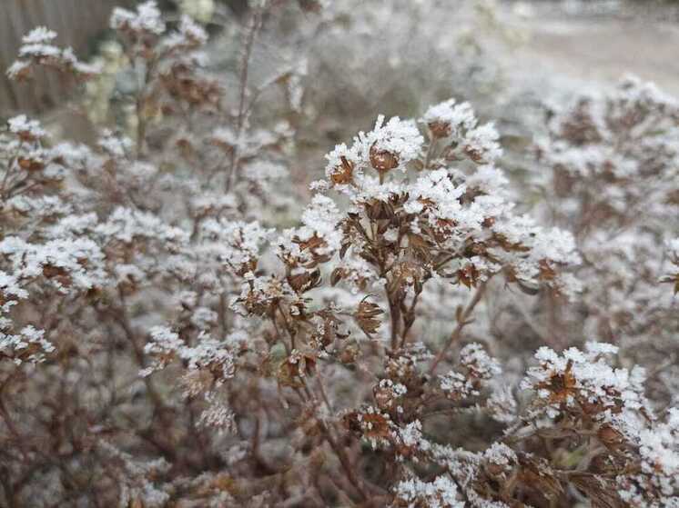 Морозная погода с мокрым снегом придет в Хакасию