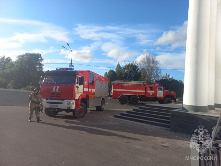 В Новгородской области пожар уничтожил баню, а вторую оставил без крыши