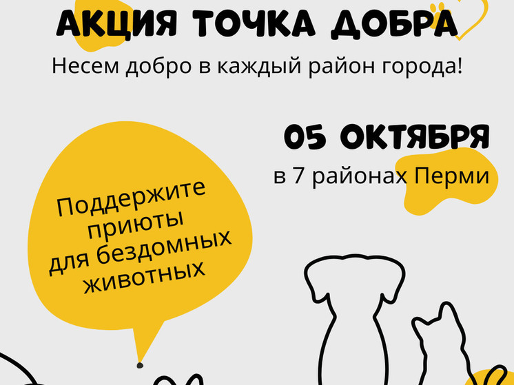 В воскресенье во всех районах Перми откроются «Точки добра» в помощь приютам для животных