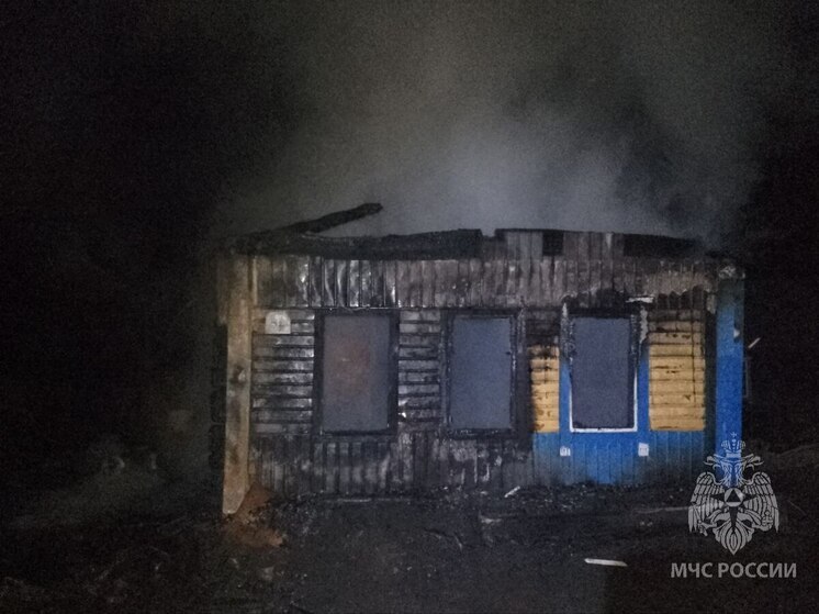Пожар в частном доме унес жизнь мужчины в Пачелмском районе