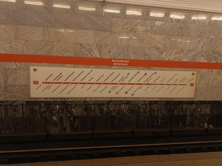 Ленинградца, находящегося в федеральном розыске, задержали в метро